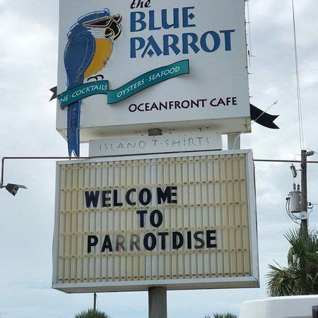 Blue parrot sgi - The Blue Parrot - a SGI Staple. The Blue Parrot is arguably the most famous and recognizable restaurant on St. George Island. Guests to the island often …
